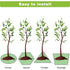 Garden Edging Border,Lawn Garden Fence Edgings 6X 8 Garden Edging Plastic Landscape Edging with 20Pcs Stakes for The Yard,Lawn Edging,Lawn Garden Flower Beds