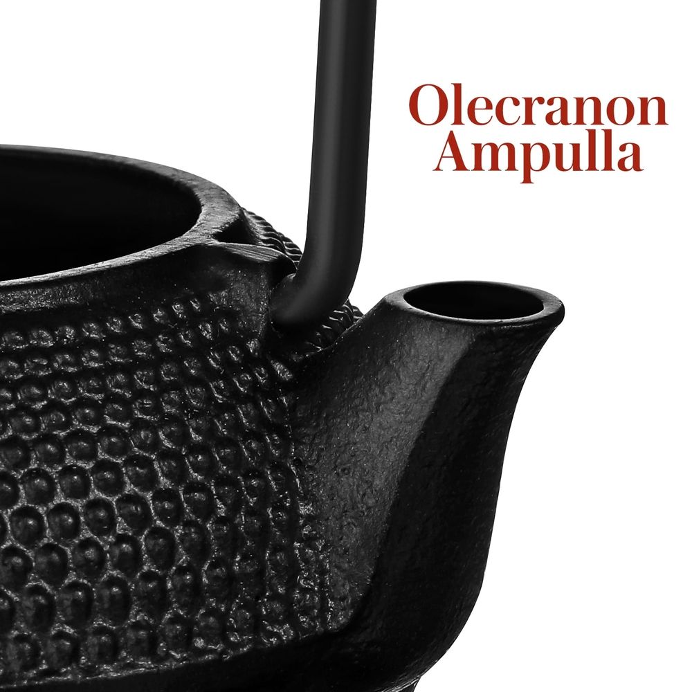 Cast Iron Kettle: Elegant Cast Iron Small Teapot - Decorative Tea Kettle Tabletop Ornament For Tea Enthusiasts And Home Office Display