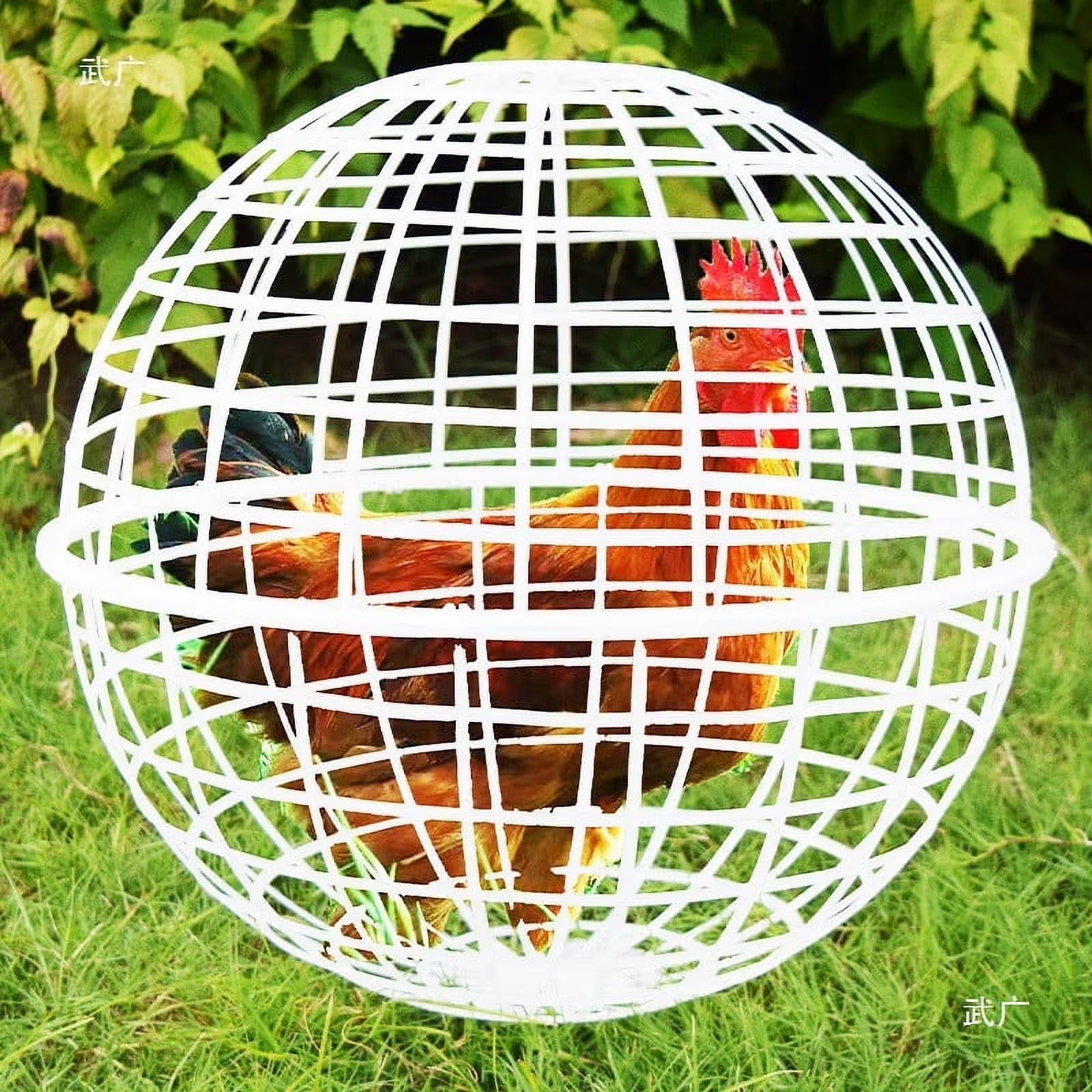 30cm Rolling Chicken Cage Spherical Plastic Poultry Foraging Ball Outdoor