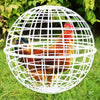 30cm Rolling Chicken Cage Spherical Plastic Poultry Foraging Ball Outdoor