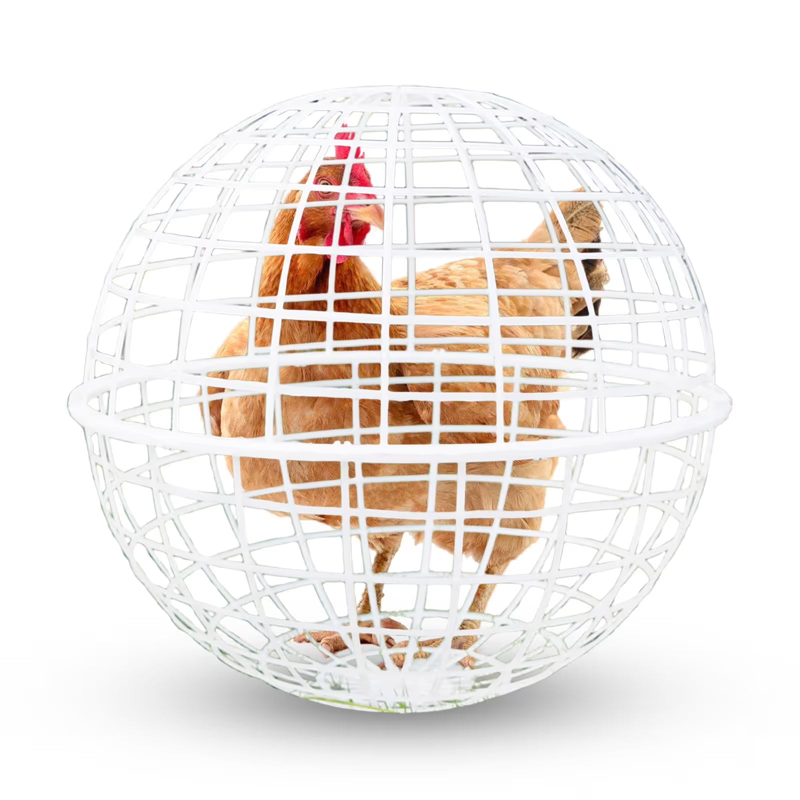 30cm Rolling Chicken Cage Spherical Plastic Poultry Foraging Ball Outdoor
