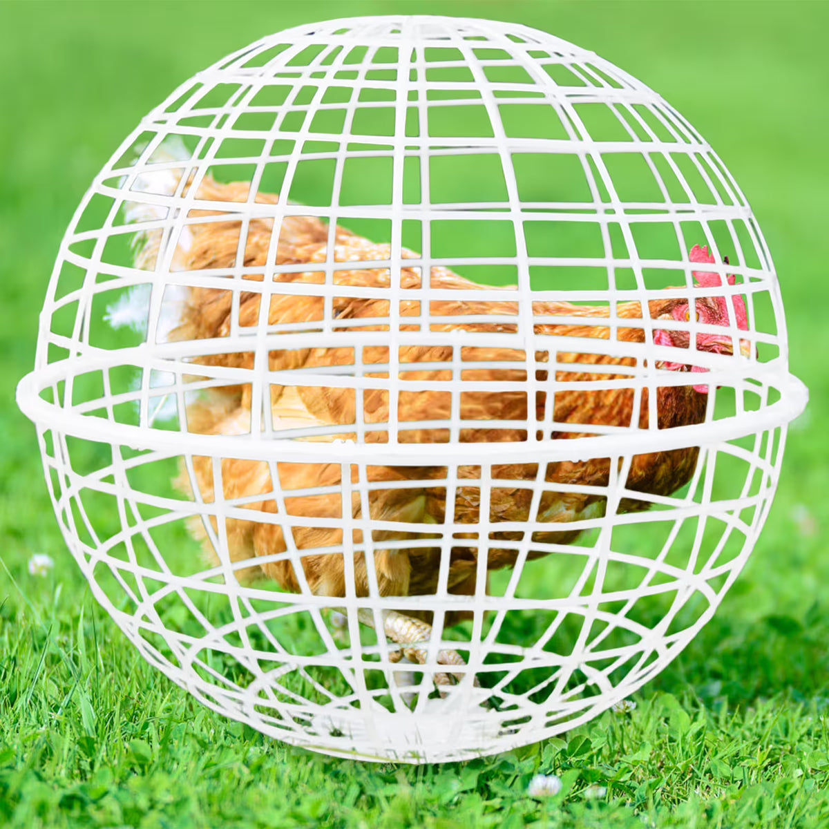 Rolling Chicken Cage Spherical Plastic Poultry Foraging Ball Outdoor