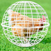 Rolling Chicken Cage Spherical Plastic Poultry Foraging Ball Outdoor