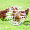 Rolling Chicken Cage Spherical Plastic Poultry Foraging Ball Outdoor