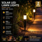 Small Black Warm White Solar LED Lawn Light 2Pcs