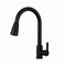 Black Kitchen Faucet