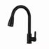 Black Kitchen Faucet