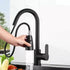 Black Kitchen Faucet