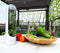 4Pcs Herb & Vegetable Fresh Storage Containers-White