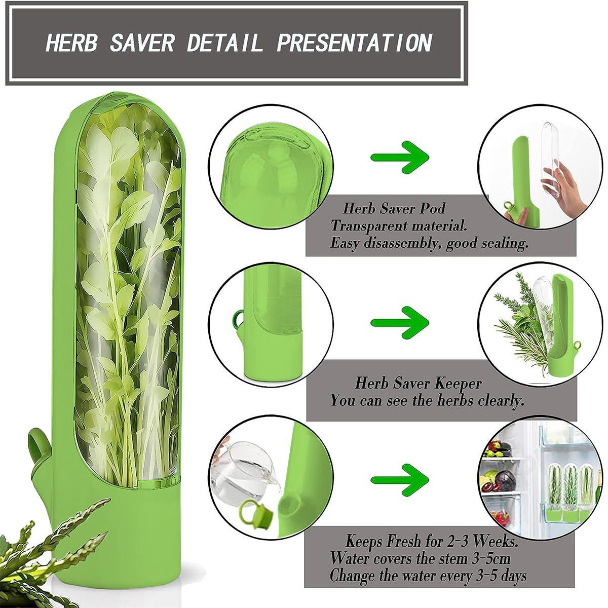 4Pcs Herb & Vegetable Fresh Storage Containers-White