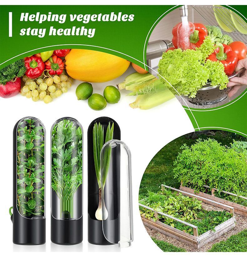 4Pcs Herb & Vegetable Fresh Storage Containers-green