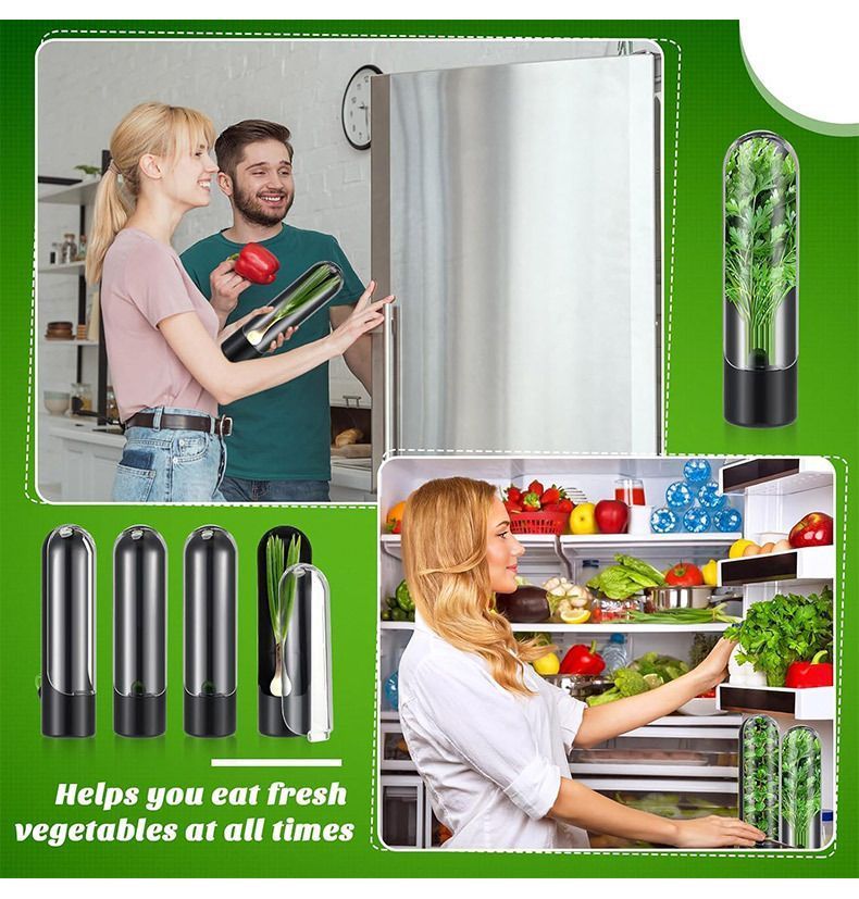4Pcs Herb & Vegetable Fresh Storage Containers-green