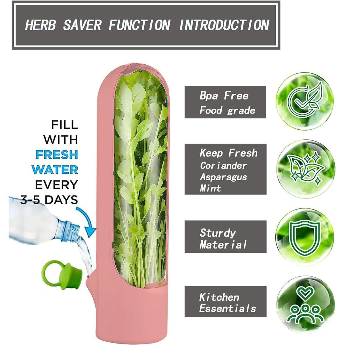 4Pcs Herb & Vegetable Fresh Storage Containers-green