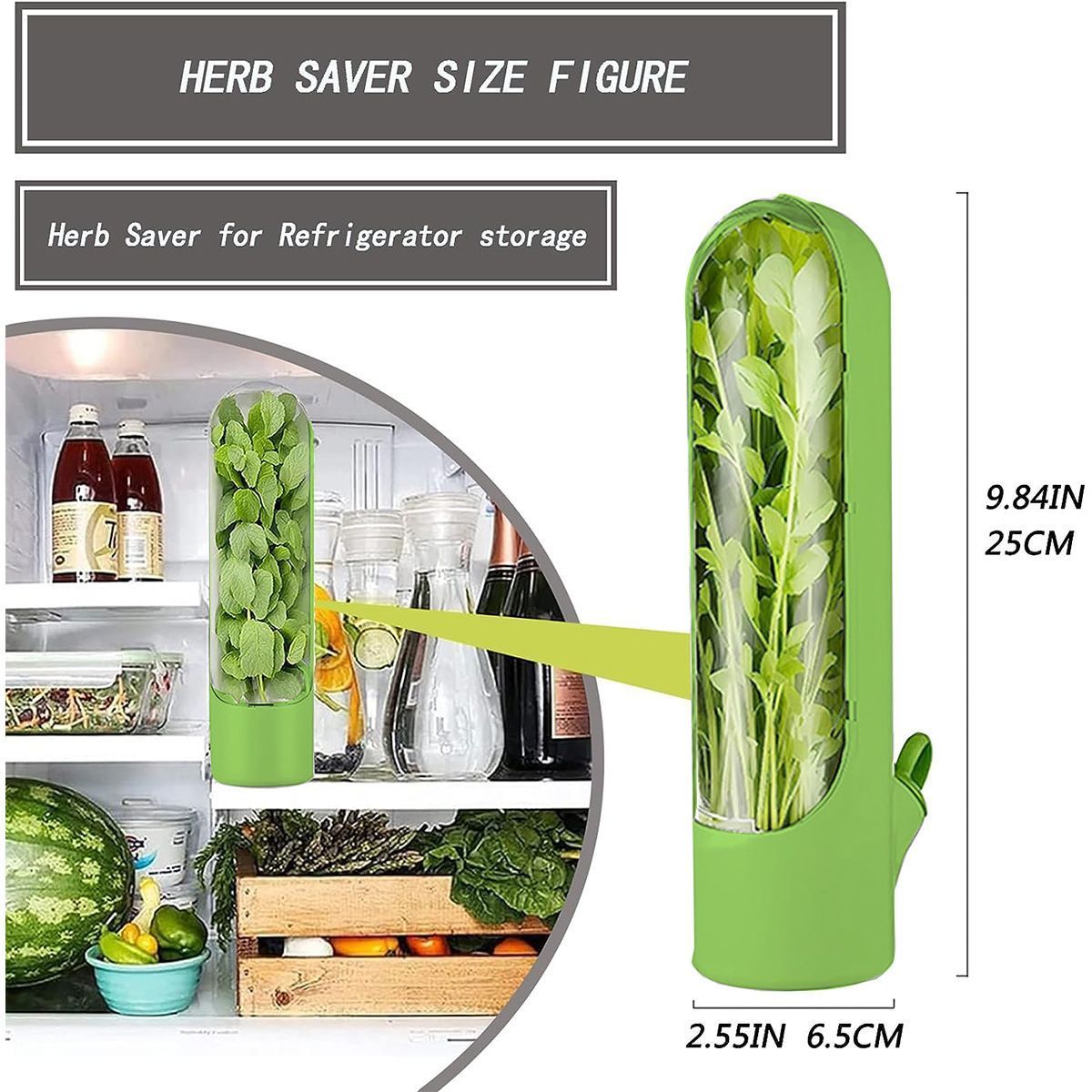 4Pcs Herb & Vegetable Fresh Storage Containers-green