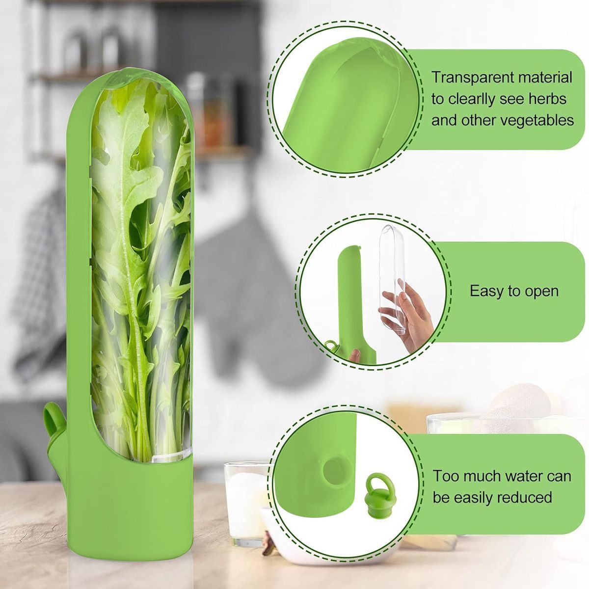 4Pcs Herb & Vegetable Fresh Storage Containers-green