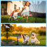 Vertical multi-arm mist cooling system, 360° surround atomization, brass anti-clog nozzles, 8m tubing, no electricity needed—connects to faucet and sprays instantly, supports multi-sprinkler series connection, ideal for patio, garden, and outdoor cooling.