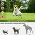 Automatic Pet Ball Launcher Toy with 3 Smart Launch Modes, Built-in Li-ion Battery & USB Charging, Long Battery Life, Indoor/Outdoor Use, Perfect Interactive Training Toy for Small and Medium Dogs(Light green)