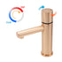 WELS 6L/min Rose Gold Basin Mixer Vanity Sink Bubble Faucet Tap Washing Laundry
