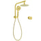 WELS Brushed Gold Round Twin Shower Head Set Stainless Steel Handheld Gooseneck Arm Wall Mixer