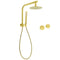 WELS Brushed Gold Round 2in1 Shower Head Set Ergonomic Handheld Gooseneck Arm Twin Taps