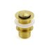 Watermark 32mm Pop Up Push Waste Plug No Overflow Basin Sink Drain Brushed Gold