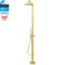 WELS Brushed Gold Twin Shower Handset Combo Set Outdoor Washing 10" Head 316 SUS