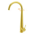 Brushed Gold Round Kitchen Mixer Sink Tap 360 Swivel Basin Laundry Faucet Spout