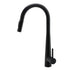 Round Matt Black Pull Out Kitchen Sink Tap Laundry Basin Mixer 2 Way Spout Set