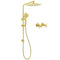 WELS Brushed Gold Twin Shower Large Round 12" Rain Head Handheld Silde Wall Rail Arm Stylish Mixer