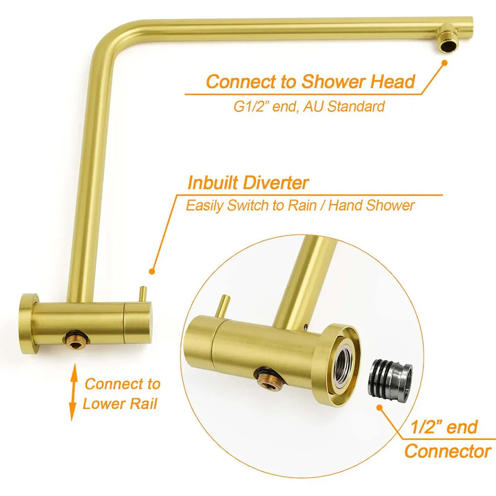 WELS Brushed Gold Dual Shower Set Large Round 12