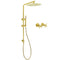 WELS Brushed Gold Twin Shower Large Round 12" Rain Head Metal Handheld Silde Wall Rail New Luxury Mixer