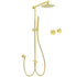 WELS Brushed Gold 2in1 Shower 8" Round Head Set Stainless Steel Handheld Rose Sliding Rail Twin Taps