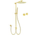 WELS Brushed Gold Rain Shower 12" Head Ergonomic Handheld Rose Sliding Rail Round Taps Set