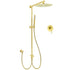 WELS Brushed Gold 2in1 Large Round Shower 12" Rain Head Stainless Steel Handheld Sliding Rail Mixer Set