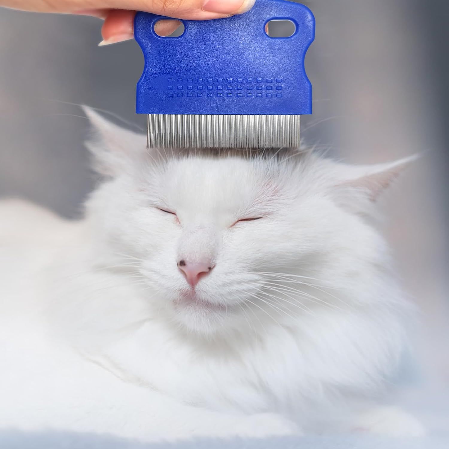4PCS Pet Flea Combs Dogs Cats Stainless Steel Fine Tooth Grooming Set Blue