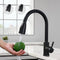 Black Kitchen Faucet, Stainless Steel Pull Down Sprayer Sink Mixer Tap, 2 Spray Modes, High Arc Spout