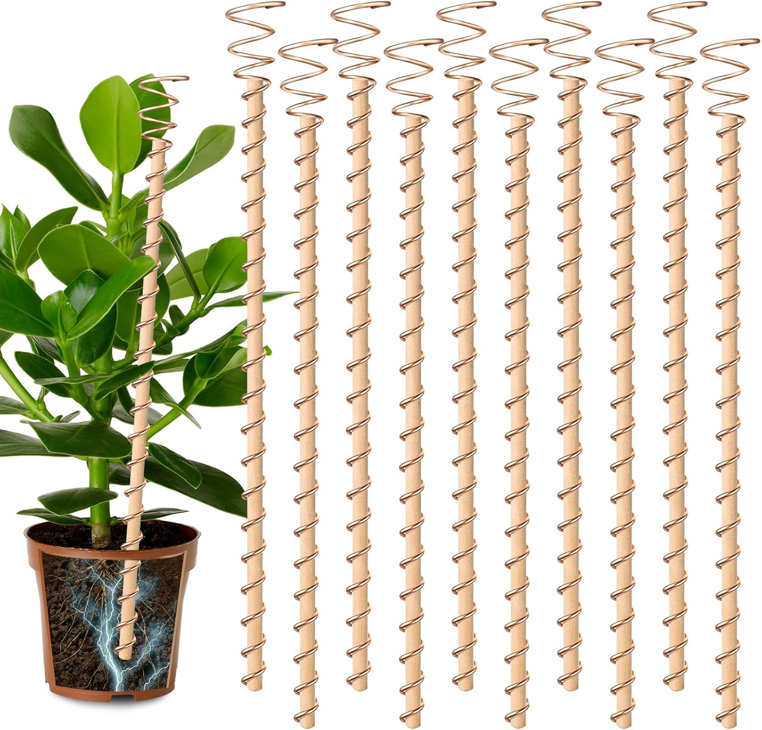 10pcs Electroculture Plant Stakes, 13.5''/17
