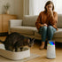 Mini Air Purifier with HEPA Filter for Small Spaces, Black