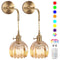 Battery Operated Wall Sconces Set of 2, Vintage Amber Glass, Rechargeable, Remote Dimmable