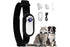 HD 1080P Dog Tracker Collar No WiFi No App Dog Collar Camera Dog Cat Pet Sport Action Camera Collar Mini Body Cam
