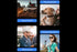 HD 1080P Dog Tracker Collar No WiFi No App Dog Collar Camera Dog Cat Pet Sport Action Camera Collar Mini Body Cam