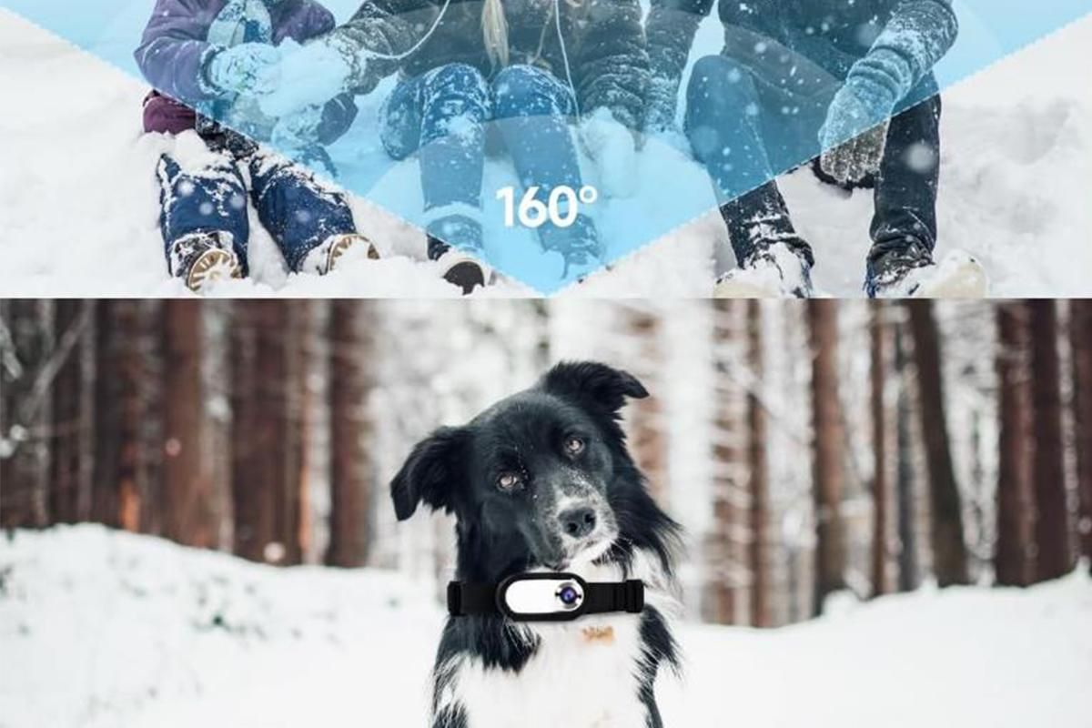 HD 1080P Dog Tracker Collar No WiFi No App Dog Collar Camera Dog Cat Pet Sport Action Camera Collar Mini Body Cam