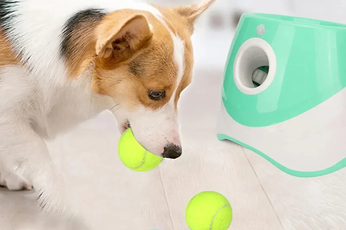 Dog Ball Launcher Thrower Automatic Tennis Fetch Throwing Machine with 3 Balls -Green