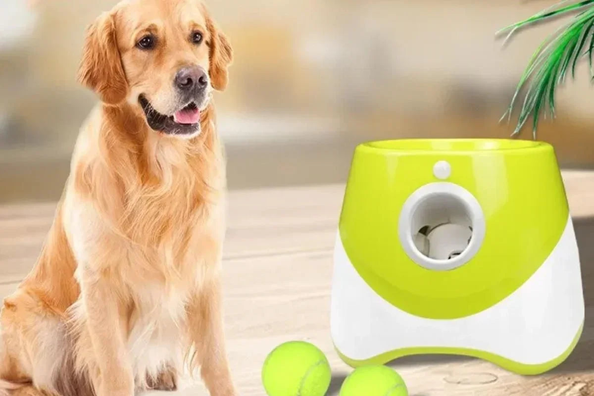 Dog Ball Launcher Thrower Automatic Tennis Fetch Throwing Machine with 3 Balls -Light Green