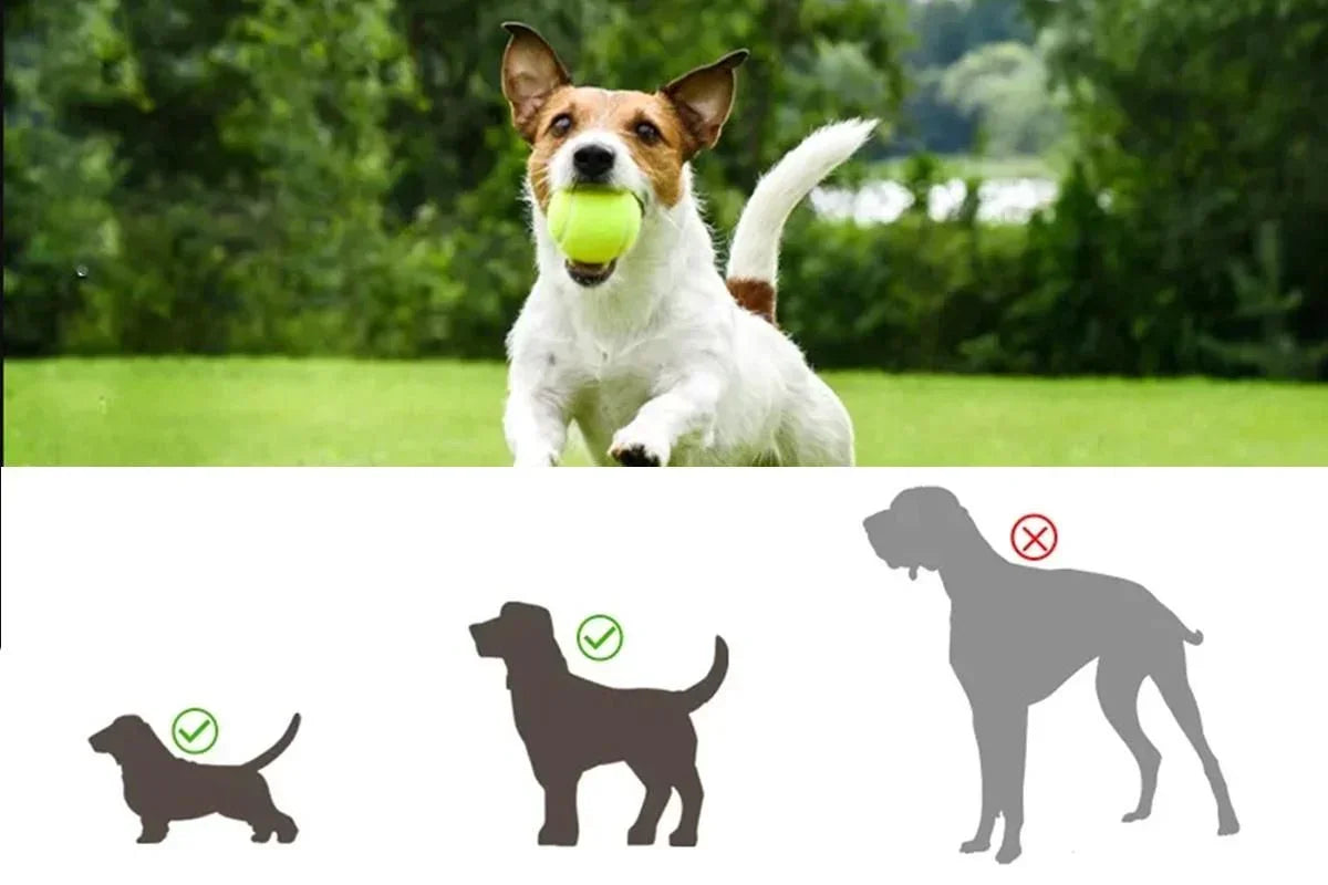 Dog Ball Launcher Thrower Automatic Tennis Fetch Throwing Machine with 3 Balls -Light Green