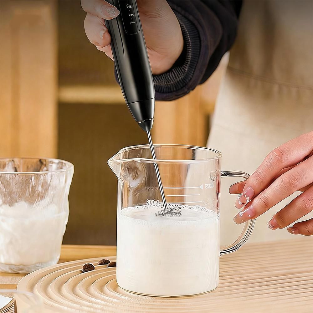 Handheld Milk Frother USB Rechargeable 3 Speeds Electric Foam Wand with 2 Whisks - Black
