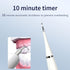Multifunctional Electric Dental Cleaner, Tartar Remover, 2-in-1 Handheld Electric Toothbrush Oral Cleaning Device—Black