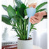 Automatic Plant Waterer, Adjustable Drip Irrigation Device for Potted Plants—Pink