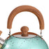 Water Kettle Stainless Steel Whistle Water Kettle Large Capacity Flat Bottomed for Gas Induction Cooker Boil Water 2L Green