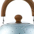 Water Kettle Stainless Steel Whistle Water Kettle Large Capacity Flat Bottomed for Gas Induction Cooker Boil Water 2L Blue